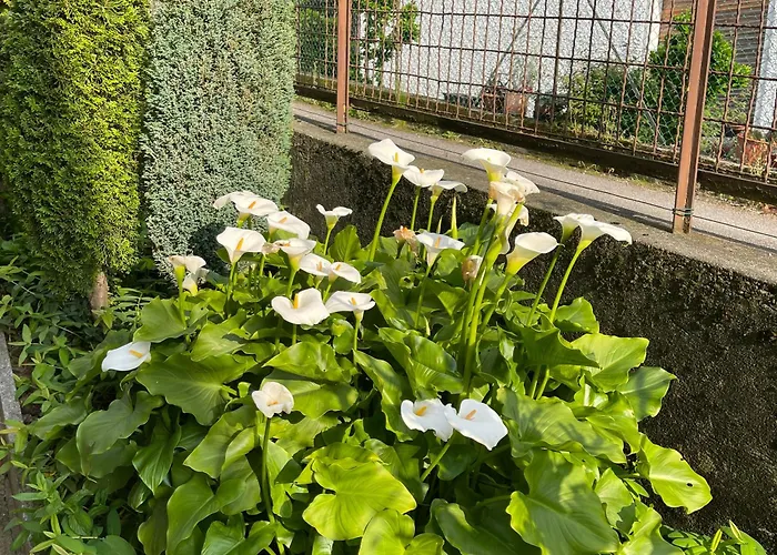 Rosi アパート リエルナ