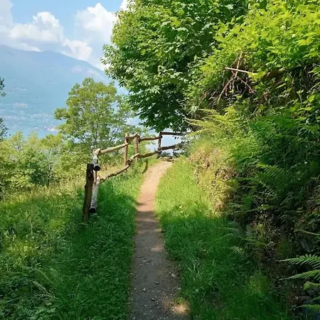 Appartamento Rosi Lierna